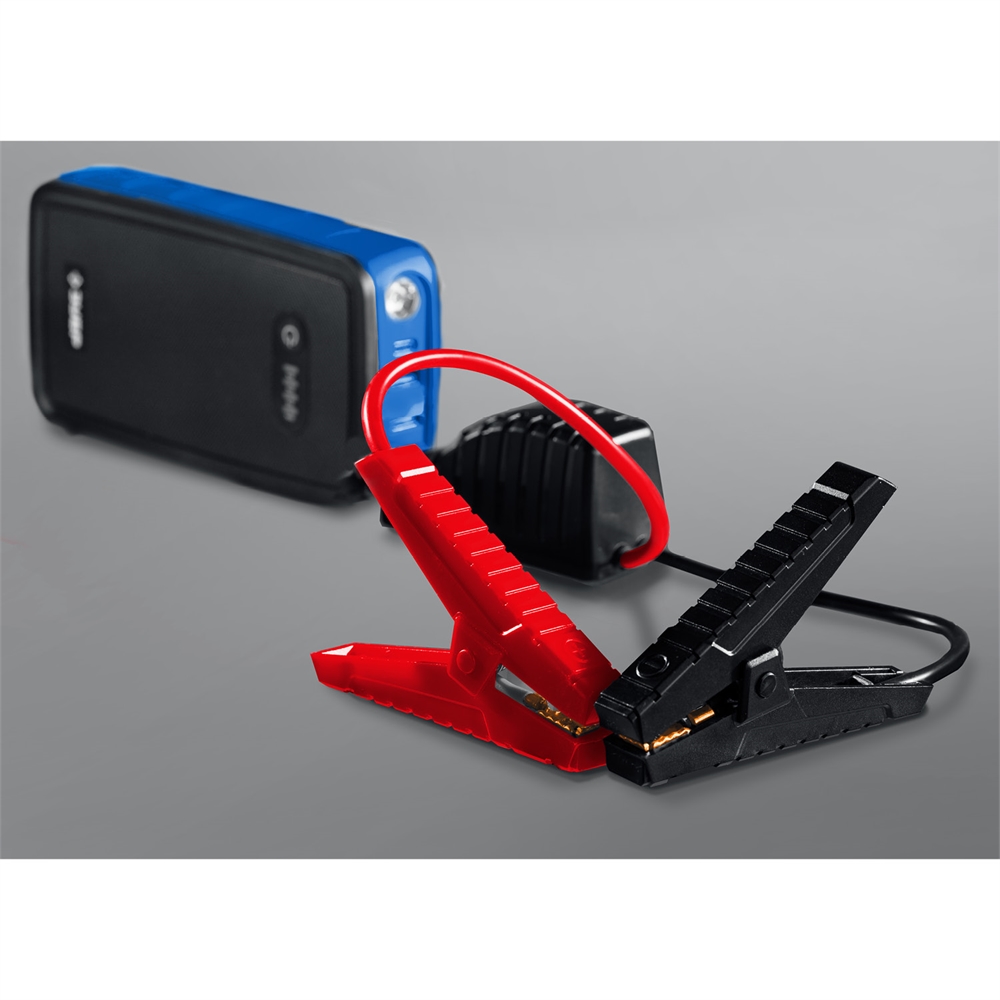 ЗУБР  АПУ-800, 12 В, макс. 800 А, аккумуляторное пусковое устройство, Профессионал (59319) 59319