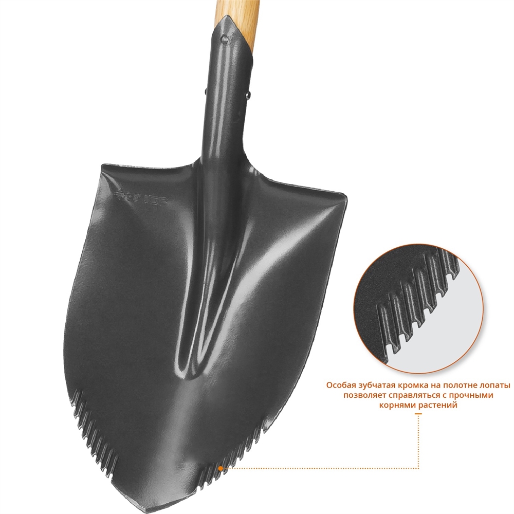 ЗУБР  БЕРКУТ, 228 х 173 х 800, полотно 1,6мм с зубцами, закалено, дерев.черенок высш. сорт с рукояткой, автомобильная лопата, Профессионал (4-39506) 4-39506_z02
