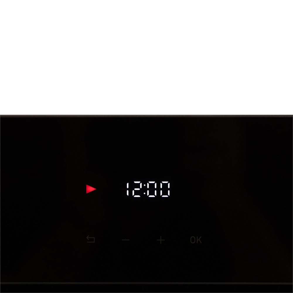 Электрический встраиваемый духовой шкаф D-SWB oasis 1172