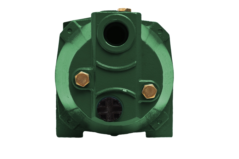 Поверхностные насосы P/С oasis 1919