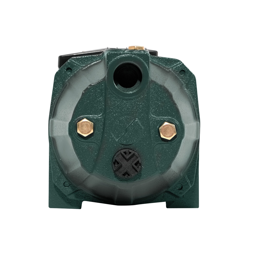 Поверхностный насос P 60/37С oasis 399