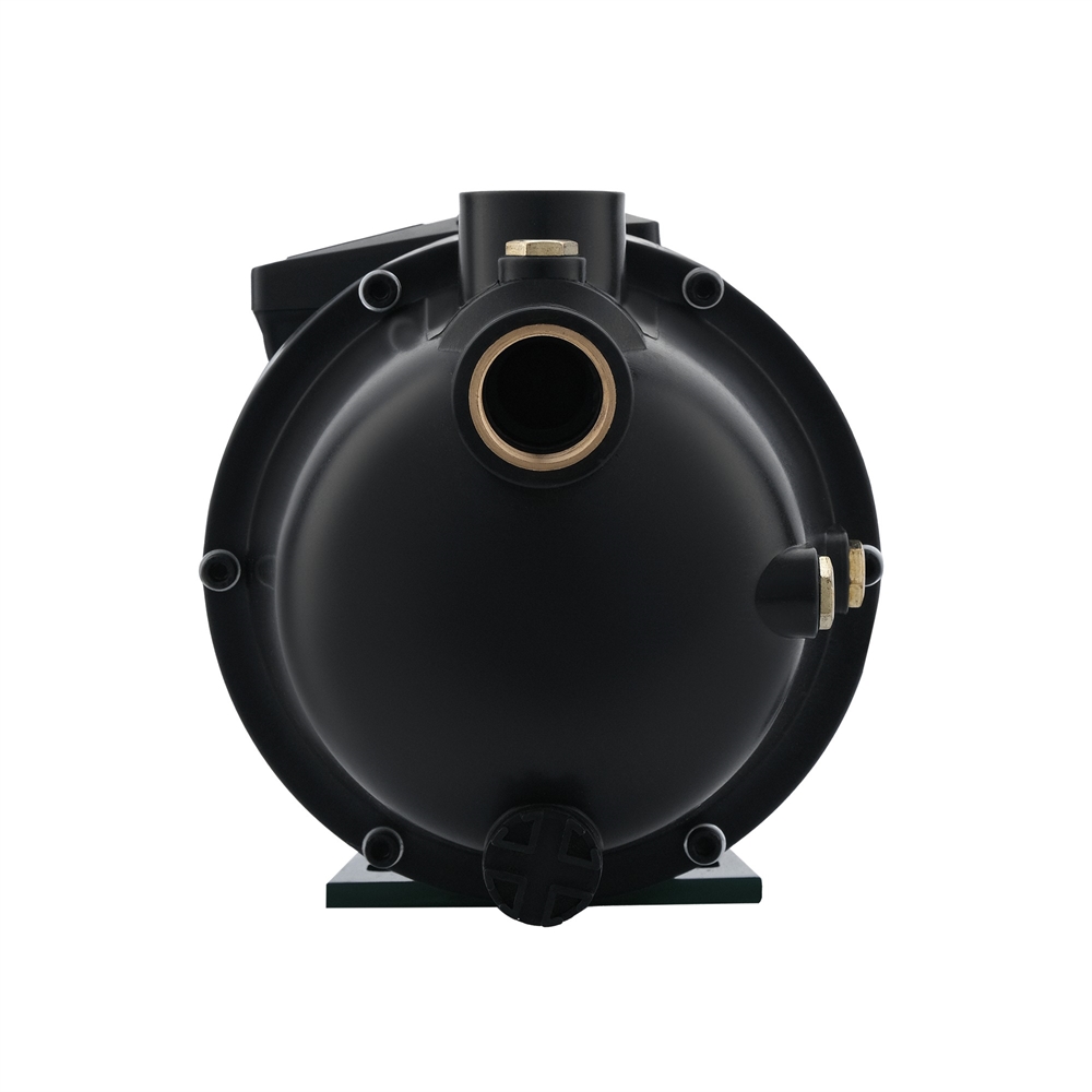 Поверхностный насос P 60/37P oasis 402