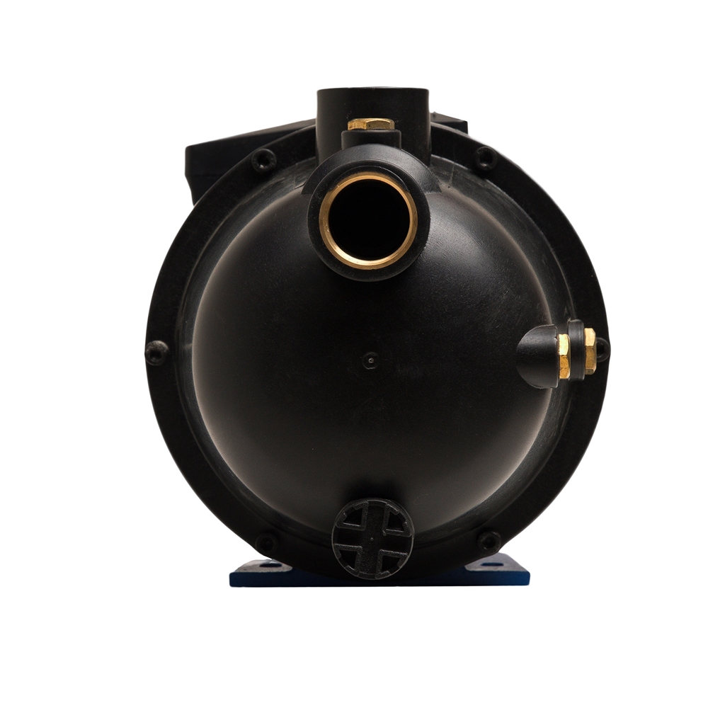 Поверхностный насос P 60/42P oasis 403