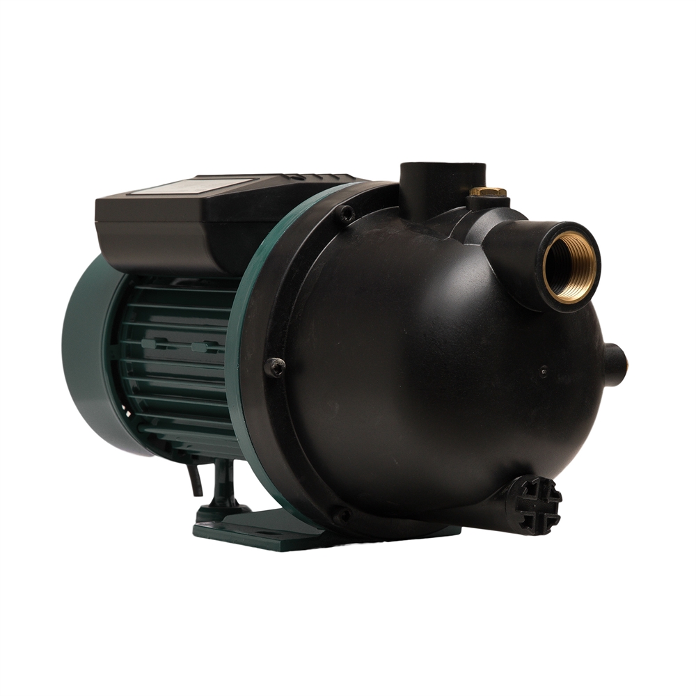 Поверхностный насос P 60/42P oasis 403