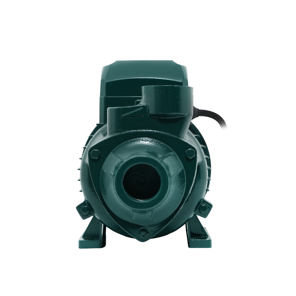 Поверхностный вихревой насос P-550V oasis 405