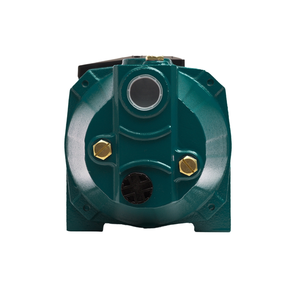 Поверхностный насос P 50/35CA oasis 407