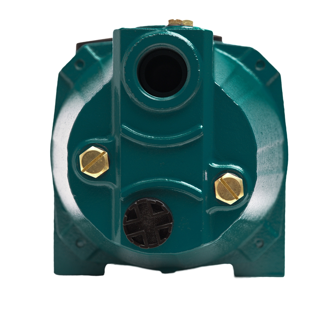 Поверхностный насос P 50/35CA oasis 407