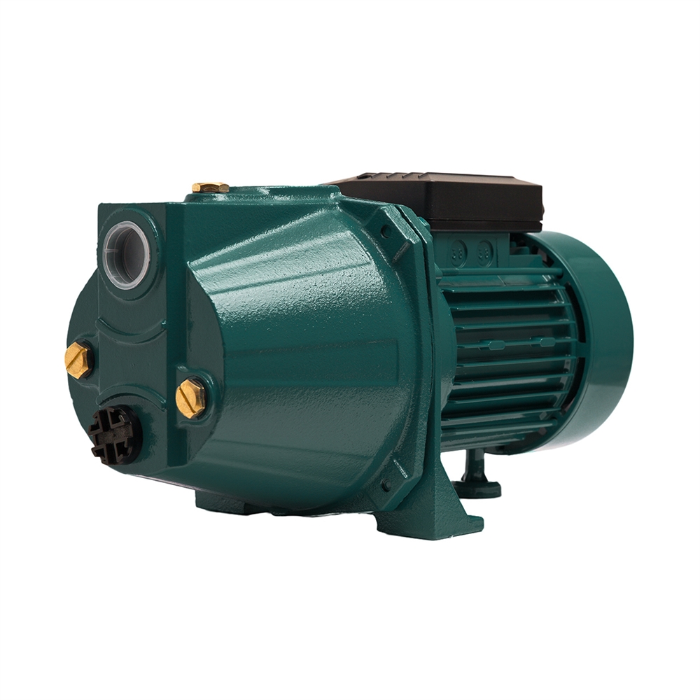 Поверхностный насос P 55/38СA oasis 408