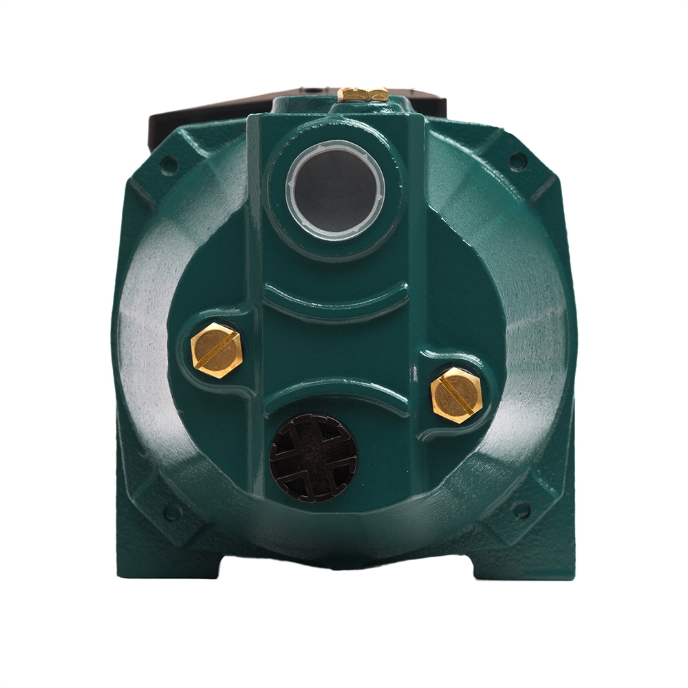 Поверхностный насос P 55/38СA oasis 408