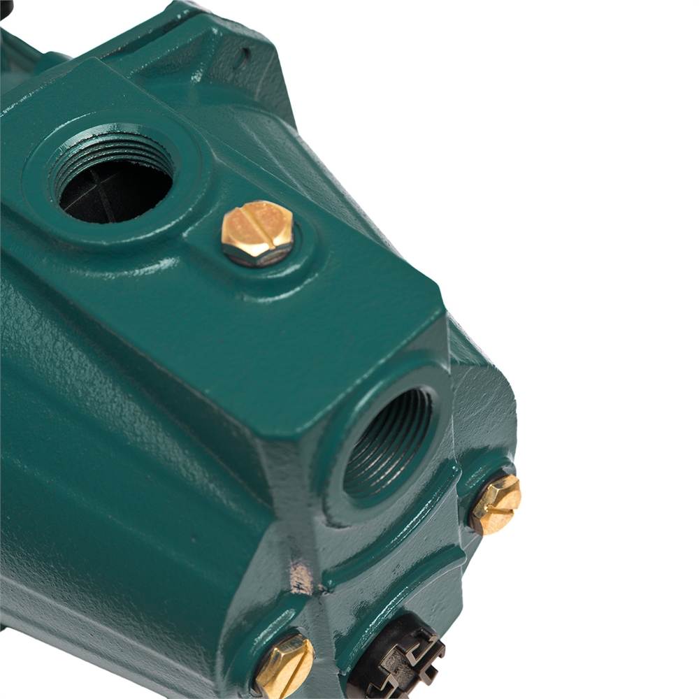 Поверхностный насос P 55/38СA oasis 408