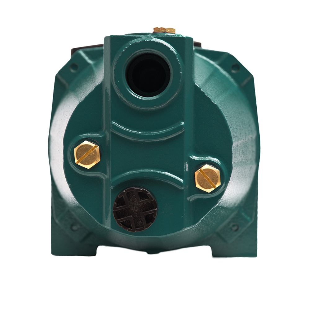 Поверхностный насос P 55/38СA oasis 408