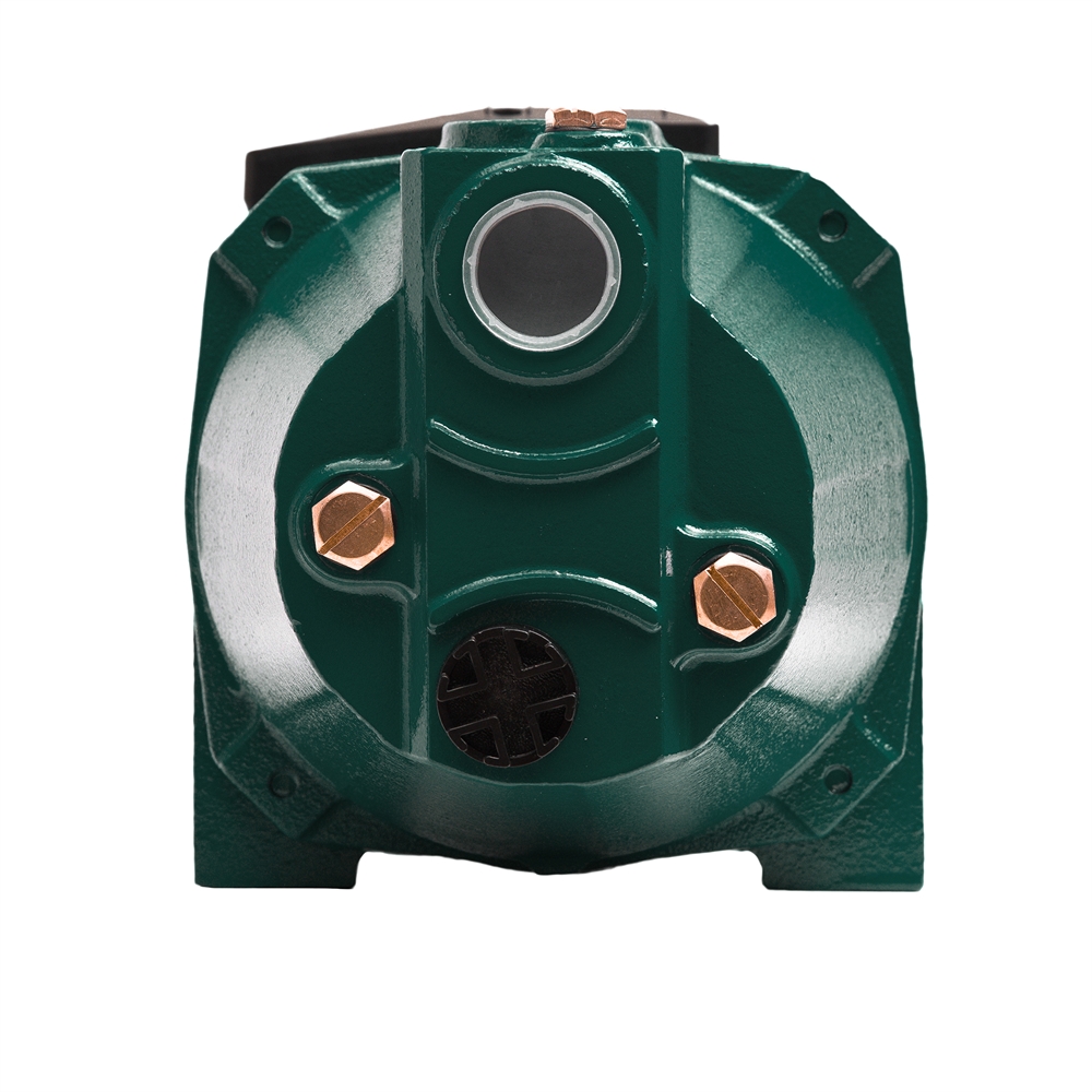 Поверхностный насос P 60/45CA oasis 409