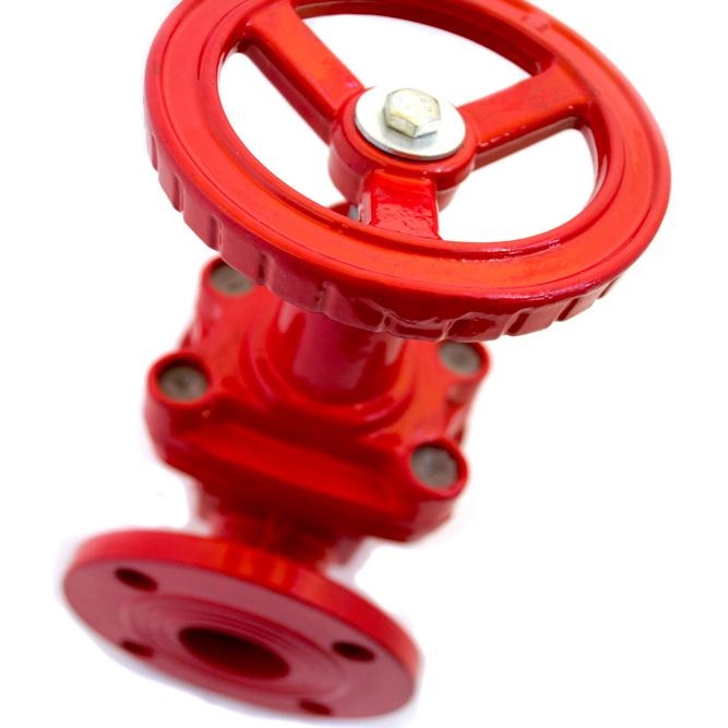 Задвижка 30ч39р (Г) с обрезиненным клином 50 т 00000004956