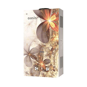 Газовый проточный водонагреватель Oasis Eco Glass B-20 oasis 7