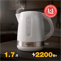 Электрический чайник K-1PW oasis 1217