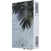 Газовый проточный водонагреватель Oasis Glass 20 LG oasis 514