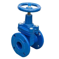 Задвижка 30ч39р с обрезиненным клином 65 т тт000017287