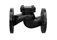 Клапан обратный Ci 16кч9нж 50 т т0000000122