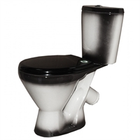 Унитаз-компакт Rosa Элегант черный (арматура и сиденье, косой выпуск) т cт000001510