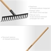 GRINDA  GT-14 WOOD, 360 х 80 х 1300 мм, 12 прямых зубцов, углерод. сталь, антикор. покрытие, черенок дерев. высш. сорт, садовые грабли (39583-14) 39583-14