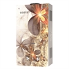 Газовый проточный водонагреватель Oasis Eco Glass B-24 oasis 65
