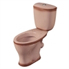 Унитаз-компакт Santeri Воротынский бежевый декор (арматура и сиденье, косой выпуск) т cт000001455