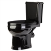 Унитаз-компакт ОК Ирида Стандарт черный (арматура, гофра и сиденье, гориз. выпуск) т тт000016554